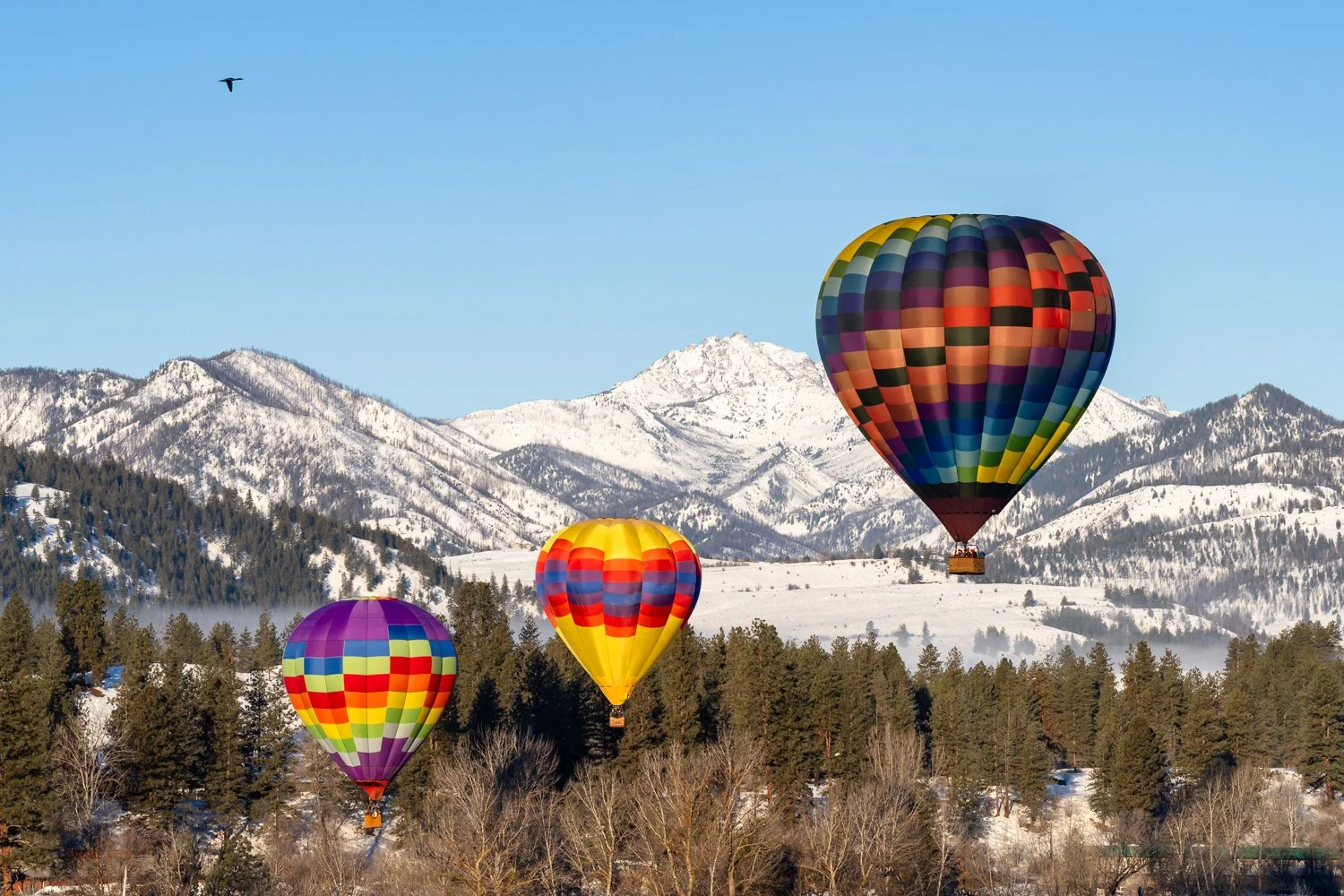Hot Air Balloons and Snowy Peaks: Capturing the Beauty of